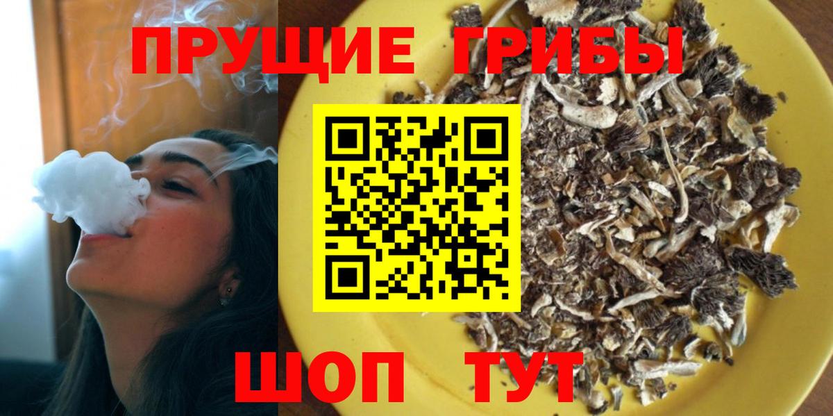 Амурск  где найти наркотики  Вход с VPN  Псилоцибиновые грибы Psilocybine cubensis 